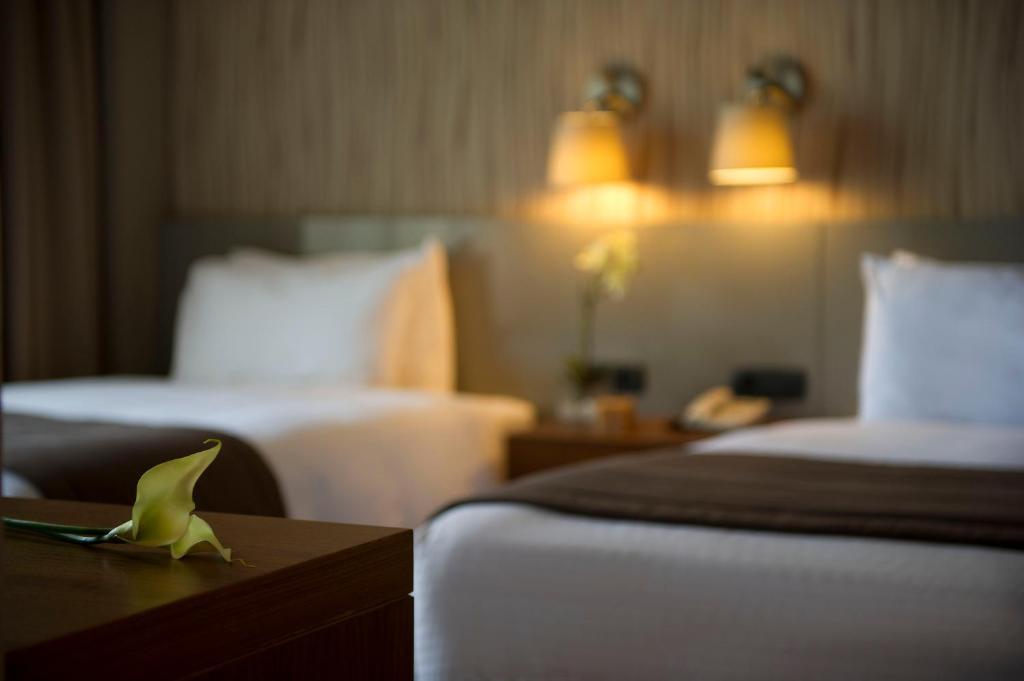 Parktower Suites Beirut Room photo